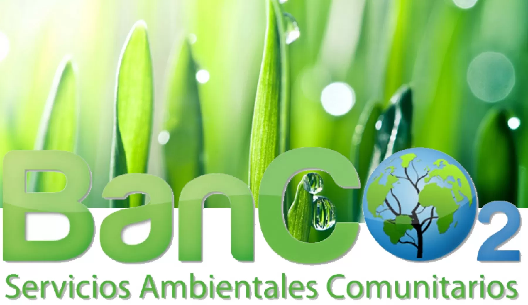 BanCO2 es una estrategia de pago por servicios ambientales, que permite a las empresas, instituciones y ciudadanía, a través de un portal web, calcular y compensar su huella de carbono.